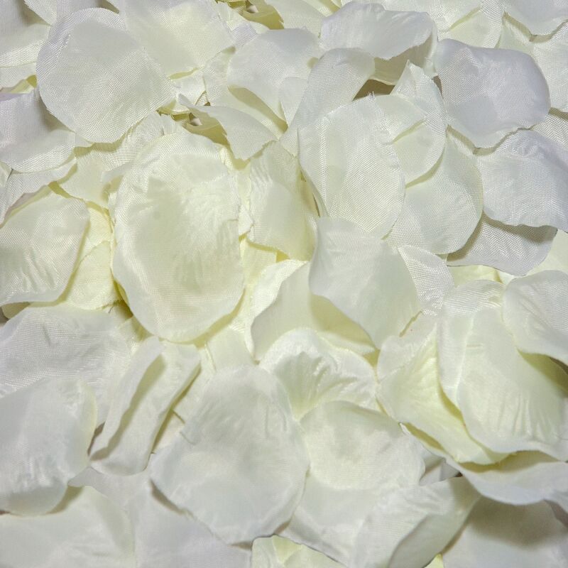 100 PETALI DI VANIGLIA - DIABLO PICANTE