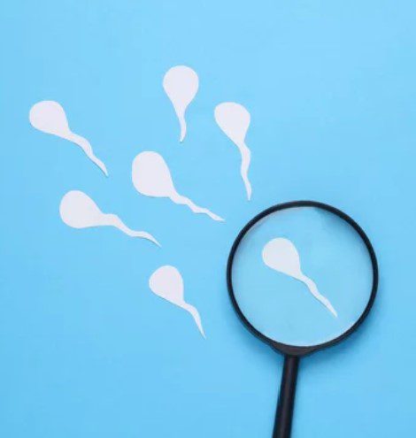 500 COSMETICS - U-MAN AUMENTA LE DIMENSIONI DEL PENE E LA POTENZA SESSUALE - CAPSULE