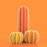 Accessori per il pene