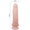 Baile - Dildo Naturale Super Realistico 21.5 cm 4