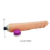 Baile - Onde da di Piacere Realistiche Vibranti 25.5 cm 7 Baile - Onde da di Piacere Realistiche Vibranti 25.5 cm 7