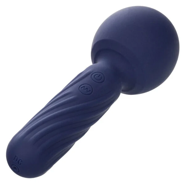Calexotics - Charisma Seduction Massaggiatore 12 Funzioni 17,75 cm X 6,25 cm Viola 3