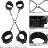 Calexotics - Euphoria Hog Tie 7