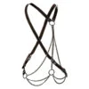 Calexotics - Euphoria Multichain Harness Premium 2