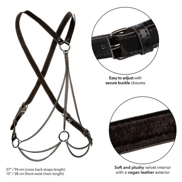 Calexotics - Euphoria Multichain Harness Premium 3