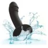Calexotics - Studio Anale Curvo 5 Calexotics - Studio Anale Curvo 5