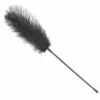 Kink - Piume di Struzzo per Solletico 19 cm 2