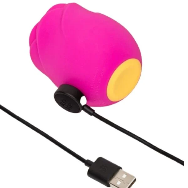 Romp - Rose Strumento di Aspirazione Clitoridea a Forma di Rosa 5