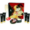 Shunga - Kit Segreto Geisha Fragole e Cava