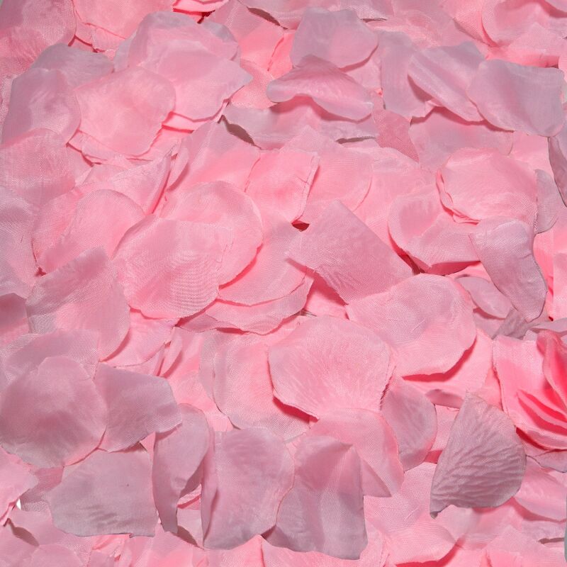 100 PETALI ROSA - DIABLO PICANTE