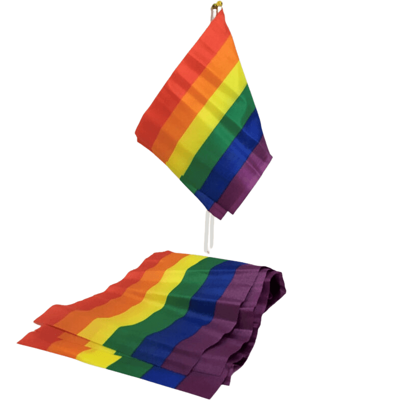 ORGOGLIO - BANDIERA PICCOLA BANDIERA LGBT