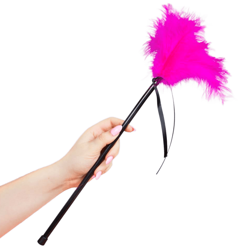 SECRETPLAY PLUMERO PLUMAS ROSA 40CM