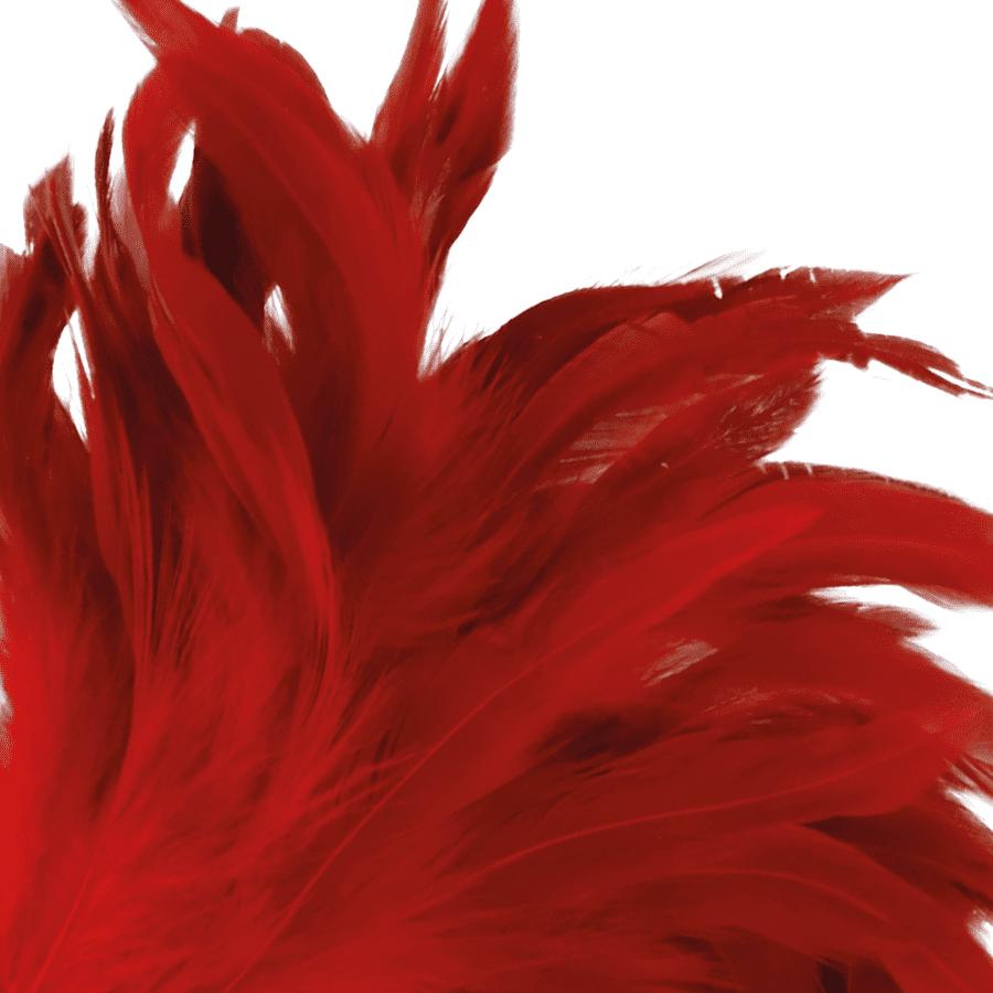 PIUMA ROSSO TENERE 24CM