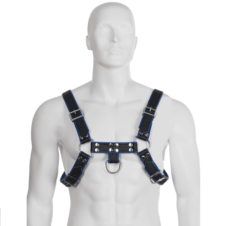 IMBRACATURA BULLDOG PETTO CORPO IN PELLE - NERA / BLU
