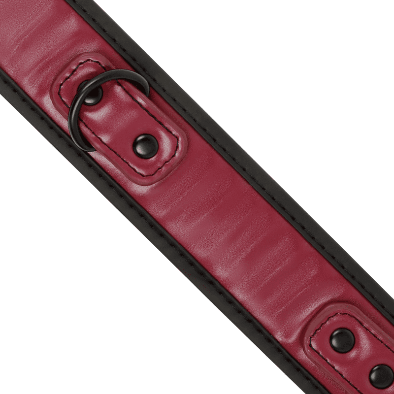 FETISH SUBMISSIVE DARK ROOM COLLAR CON CADENA CON FORRO DE NEOPRENO